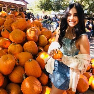 Meet your Posher, Harleen